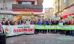 Eskişehir’de Esra Işık için özgürlük talebi!