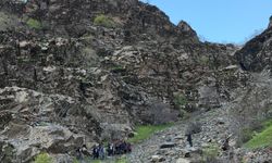 Pancar toplamaya gitti, kayalıklardan düşerek yaralandı