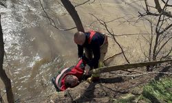 Nehre düşen kişiyi kurtarmak için zamanla yarış: Can pazarı yaşandı!