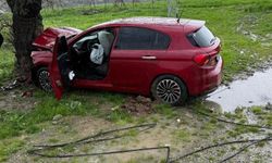 Ağaca çarpan otomobilin sürücüsü yaralandı!