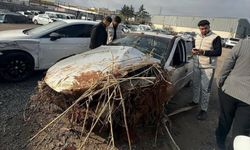 Kontrolden çıkarak devrilen otomobilin sürücüsü öldü!