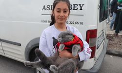 Minik taraftar kedisiyle tribünde: Eskişehir’de renkli görüntüler