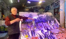 Denizlerde av yasağı başladı: Eskişehir’de balık fiyatları artacak mı?