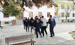 Eskişehir'de akıl almaz hırsızlık: Hamama götürüp oyaladılar, 36 büyükbaş hayvanı çaldılar!