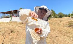 Eskişehir'in balı Paris'i salladı