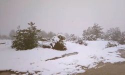 Eskişehirliler baharı beklerken kar geldi