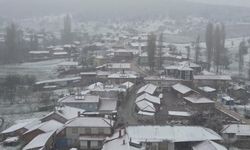 Eskişehir'in o ilçesi beyaza büründü