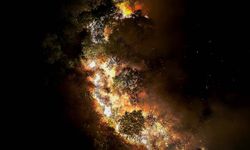 Beykoz'da alevlerle 9 saatlik gece mesaisi: 14 hektar alan zarar gördü