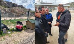 Zafer Partisi Eskişehir, Bozüyük Hayvan Bakımevi’nde yaşanan vahşete tepki gösterdi