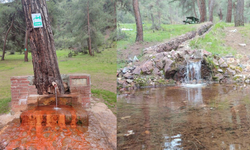 Eskişehir’de maden suyu içmek isteyen vatandaşlar o çeşmeye geliyor
