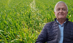 Eskişehir’de yağışlar yüksek seviyeye çıktı: Tarımda hastalık uyarısı geldi!