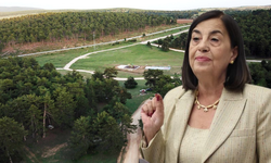 Süllü’den Kalburcu Orman Parkı ihalesine tepki: “Doğa ranta açılıyor”