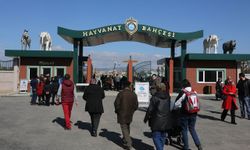 EAZA’da Eskişehir başarısı: Temsil yetkisi yeniden uzatıldı