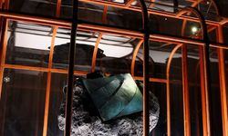 T. rex DNA’sından lüks çanta: Açılış fiyatı dudak uçuklattı