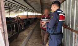 Eskişehir'de 1 milyon 940 bin TL sahte parayla 22 adet büyükbaş satın alan şüpheliler yakalandı