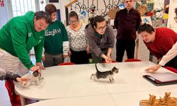 Eskişehir'de özel çocuklardan sokak hayvanlarına sıcak yuva