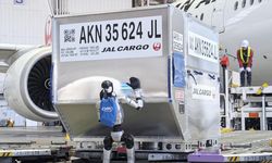 Japonya'da havalimanında bavullar insansı robotlara emanet