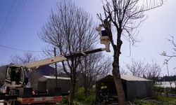 Eskişehir'de yeşil alanlara bakım yapılıyor