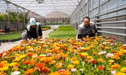 “Tepebaşı’na gelince içiniz açılır”