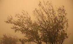 13 il için sarı uyarı: Toz taşınımı alarmı
