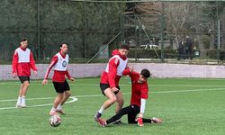 İnce eleyip sık dokuyor