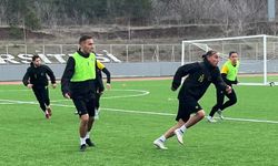 Söğüt'e bileniyorlar