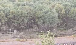 Rafting botundan düşen kadının cansız bedeni bulundu
