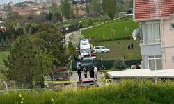 Kardeş kavgası: 1 ölü