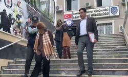 Lüks evleri soyan hırsızlık çetesi çökertildi