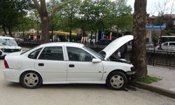 Virajı alamayan otomobil, kaldırımda ağaca çarptı