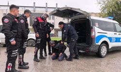 Ehliyetsiz sürücü zorluk çıkarınca biber gazı yedi