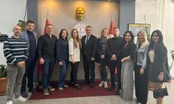 Siber zorbalığa karşı uluslararası işbirliği