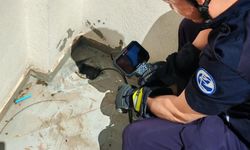 Eskişehir’de yürek ısıtan kurtarma operasyonu: Su borusuna düşen 3 yavru kedi kurtarıldı