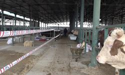 Eskişehir'de kurbanlık satıcılarından çadır ve altyapı tepkisi