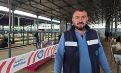 Kurbanlık satıcılarından çadır ve altyapı tepkisi