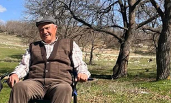 Eskişehir'de hayvanlarını otlatırken üstüne yıldırım düşen adam hayatını kaybetti!