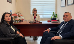 Ağrı kader değildir