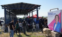 Eskişehir Büyükşehir Belediyesi Hayvan Pazarı’nda Bayram Mesaisi Sürüyor