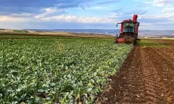 Eskişehir’de yağış sevinci: Fayda var ama risk de büyük