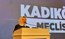 Eskişehir Milletvekili Gürcan gençlerle meclis simülasyonunda buluştu