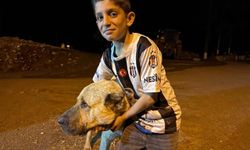 Ayılar saldırdı, “Kral” ölümün pençesinden aldı!