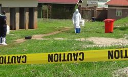 DSÖ alarm verdi: Ebola salgını küresel acil durum ilan edildi