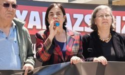 CHP Eskişehir Milletvekili Süllü'den yangın soruşturmasına tepki: Önlem alınmadı