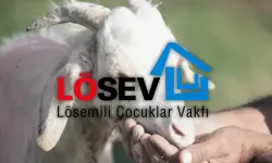 LÖSEV’den bayramda umut çağrısı: Kurban bağışları sürüyor