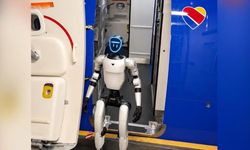 "Alışılmadık yolcu" rötar yaptırdı: Robot Bebop uçakta krize neden oldu