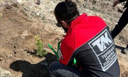 TAK ekibinden Yörük Akçayır’da ağaç dikme etkinliğine destek