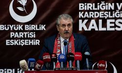 Destici’den Eskişehir'de dikkat çeken konuşma: Gerekirse sokak köpekleri uyutulmalıdır