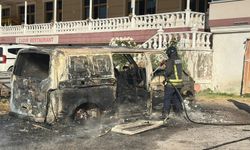 Park halindeki panelvan alevlere teslim oldu