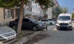 İki kardeş arasında bıçaklı kavga