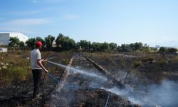Sera ve evleri tehdit eden yangın mahalleliyi korkuttu